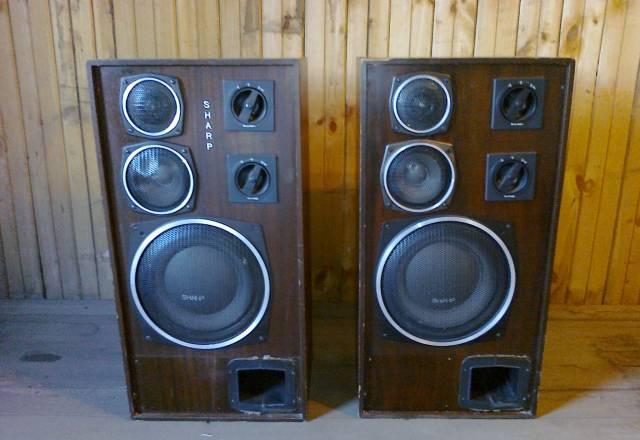 Radiotechnika 35 ас / S-90 Радиотехника Москва