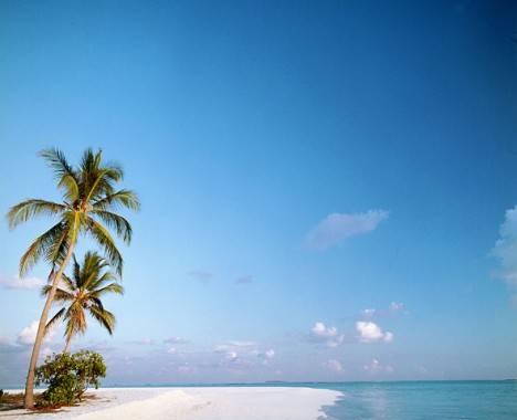 Горящие туры Санкт-Петербург