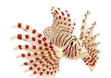 4D Пазл. Морские обитатели Санкт-Петербург