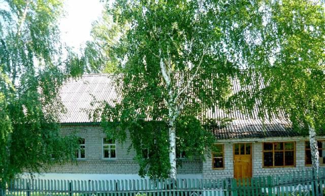 Дом в Скопине Скопин