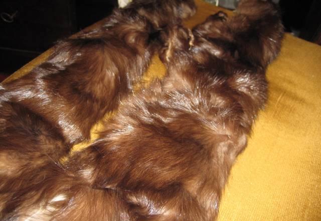 Шкурки соболя Санкт-Петербург