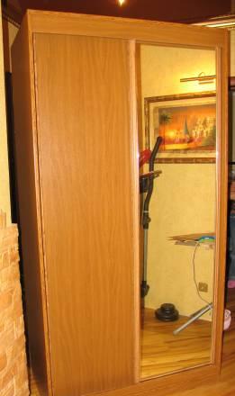 Шкаф-купе 2-х дверный с зерколом Москва