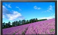Монитор asus 225d (22") Москва