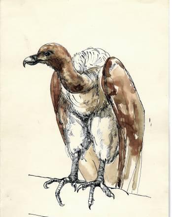 Птица 1 Москва