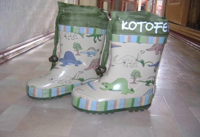 Сапоги Москва