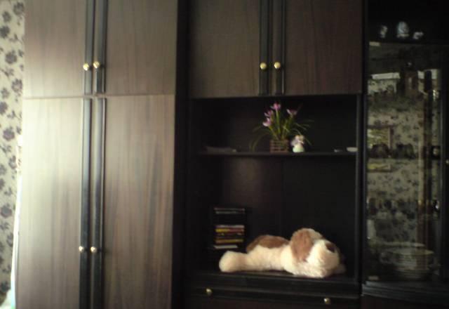 Стенка нижегородец Энгельс