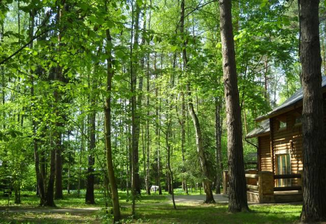 Комплекс строений 460м2 на лесном участке 60соток Москва
