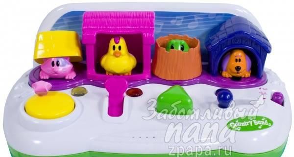 Музыкальная развивающая игрушка Country Band Санкт-Петербург