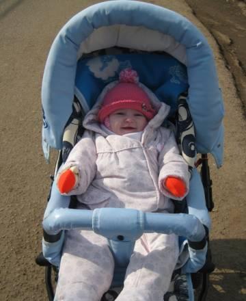 Коляска Anmar - Phaeton Москва