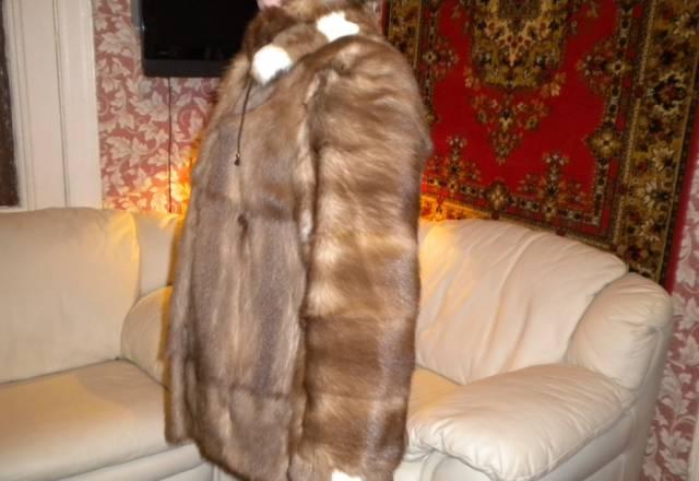 Шуба из куницы Москва