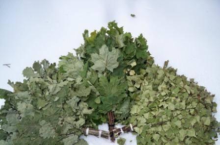 Веники для бани Москва