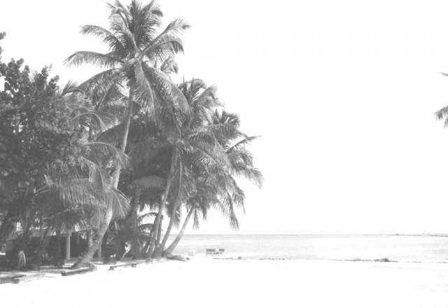 Куплю плеер iPod Москва