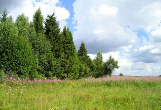 Участки от 2,5 Га в Тверской области Москва