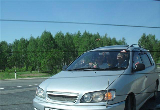 Чистокровный японец Челябинск