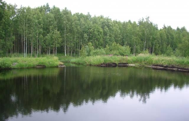 Рыбалка на берегу  озера, домик на 4-5 чел Санкт-Петербург