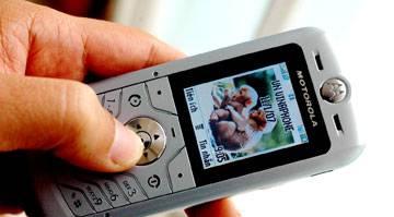 Motorola L6 Санкт-Петербург