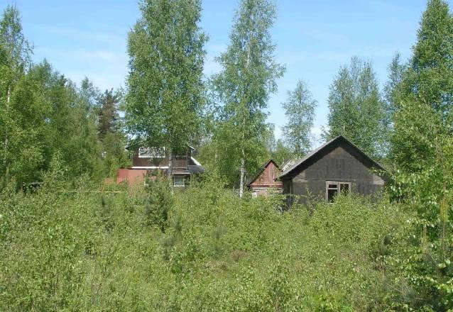 Участок в Лесколово (Кискелово) Санкт-Петербург