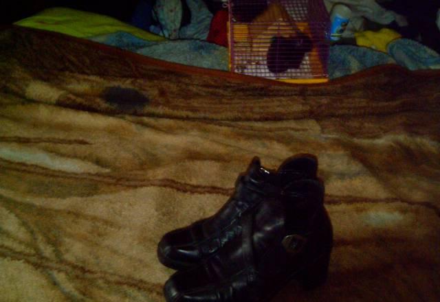 Туфли Санкт-Петербург