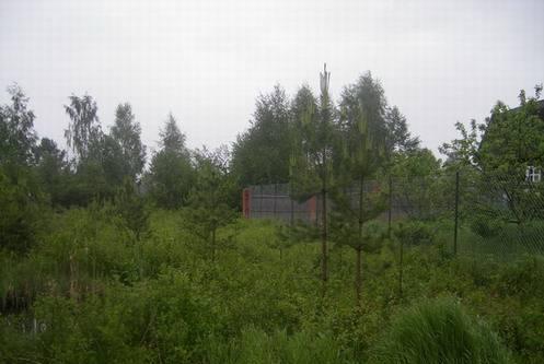Участок 86 км от МКАД, ижс, пмж, 10 соток Москва