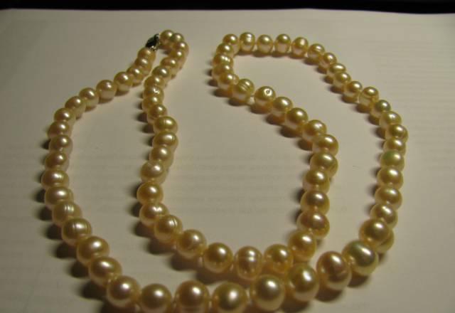 Речной жемчуг Москва