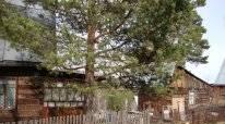 Продам дачу , станция Заречная Красноярск