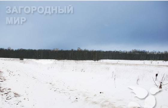 Новорижское ш., 60 км от МКАД, д.Карасино Москва