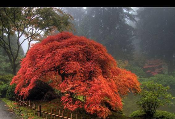 Визы в США за 7600 Москва