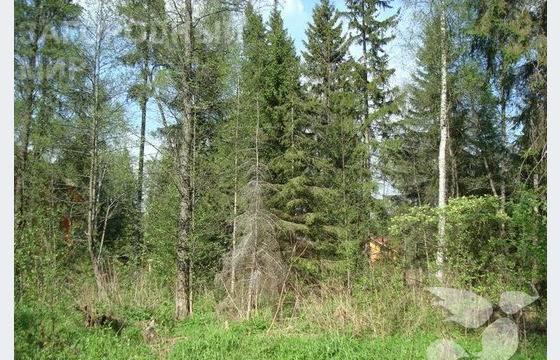 Минское шоссе, 35 км Зеленая Роща. Участок 9 соток Одинцово