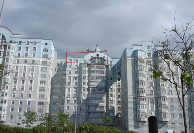 Сдается под офис, без комиссии Санкт-Петербург