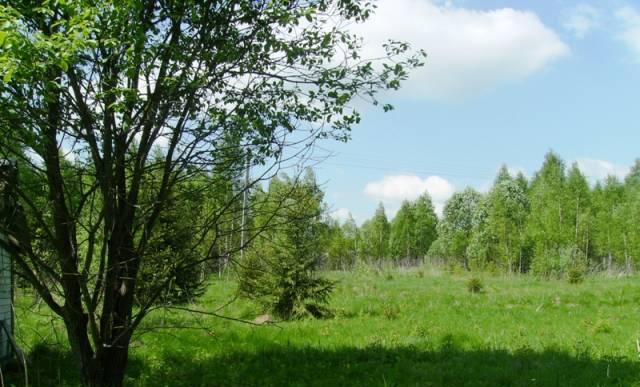Недорого Участок 10 соток в живописном месте Верея