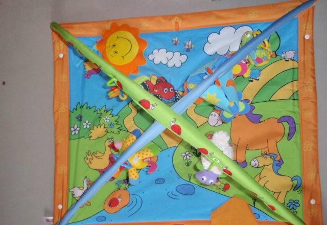 Развивающий коврик Санкт-Петербург