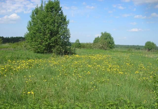Прекрасное место для проживания и отдыха Санкт-Петербург