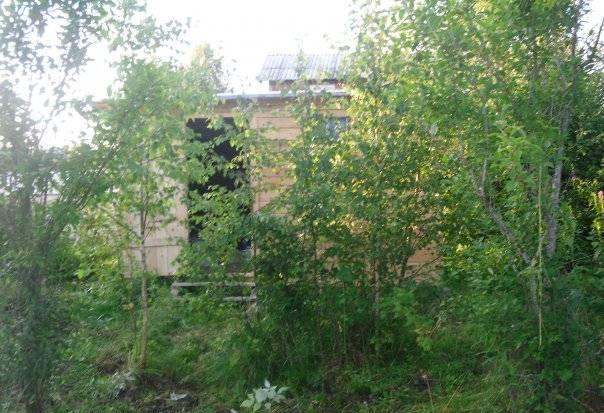 Сдам участок с вагончиком в садоводстве Бесплатно Санкт-Петербург