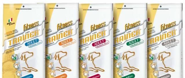 Fitness Trainer Adult Medium-Maxi Dog 4кг Санкт-Петербург