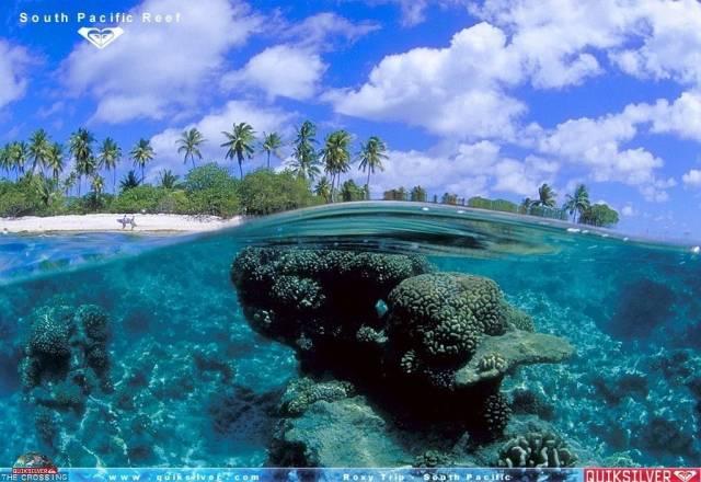 Куплю PSP ,Xbox 360, Sony PlayStation3 Москва