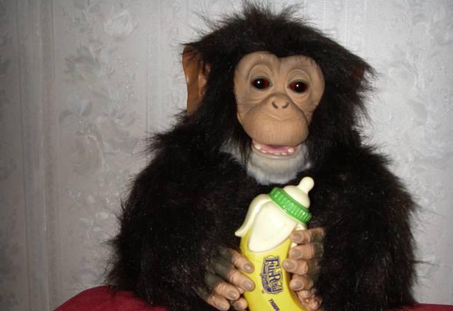 Интерактивная Обезьянка Обезьяна Хочю на ручки бу Москва