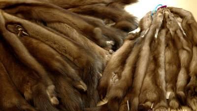 Пошив,перекрой,ремонт, реставрация шуб, меха Москва