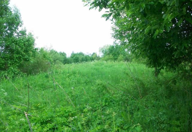 Продам участок на берегу реки Кобона Санкт-Петербург