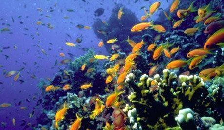 Горящие туры Муром