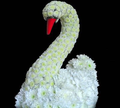 Игрушка из живых цветов для вашего интерьера Москва