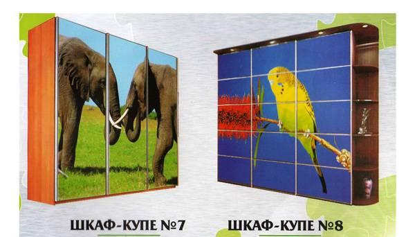 Шкафы-купе Новые Москва