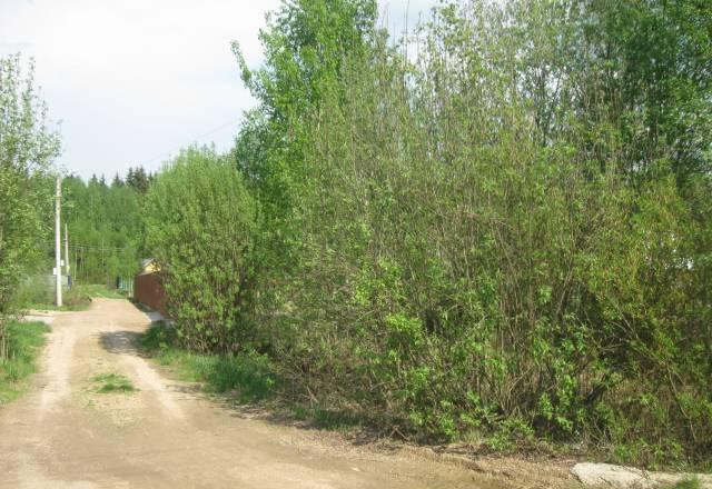 6 сот. под Звенигородом Москва