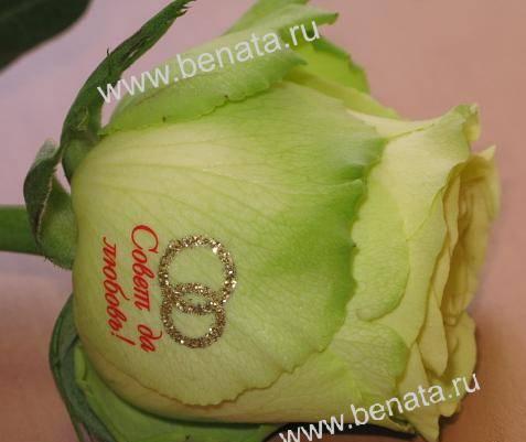 Наклейки на цветы  для нанесения изображений Москва