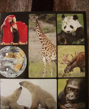 В мире дикой природы Москва