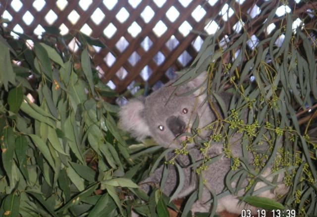 Путешествие в Австралию и Новую Зеландию Санкт-Петербург