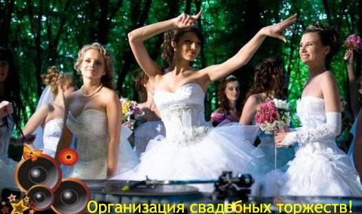 Организация свадебных торжеств Красноярск