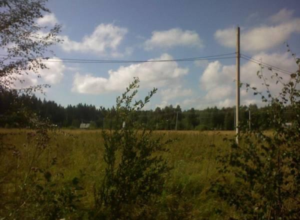 Ижс у залива Санкт-Петербург