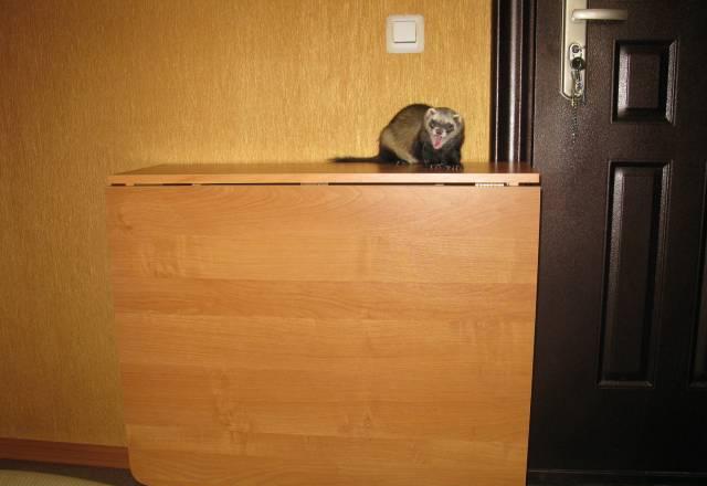 Стол-книжка Москва