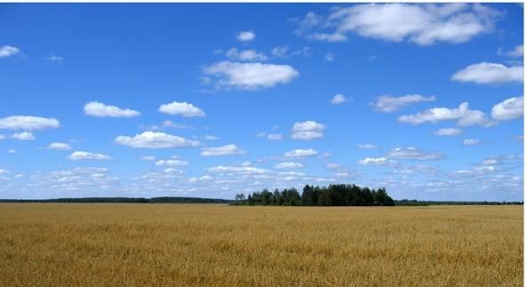 1,8 га, Тульская обл., Ленинский р-н Тула