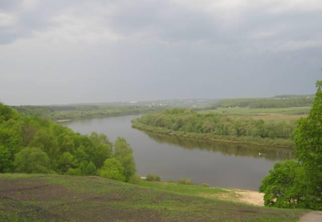 Лекарственные растения Москва